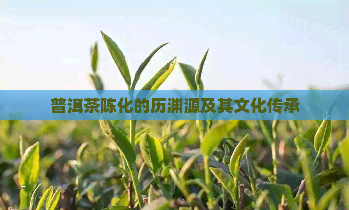 普洱茶陈化的历渊源及其文化传承