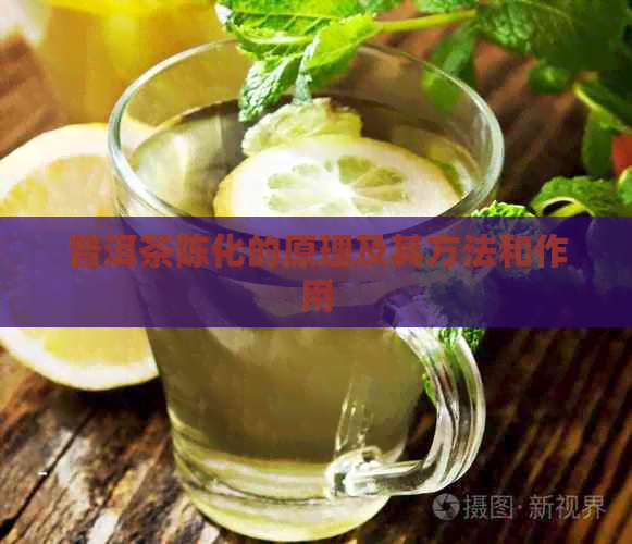 普洱茶陈化的原理及其方法和作用