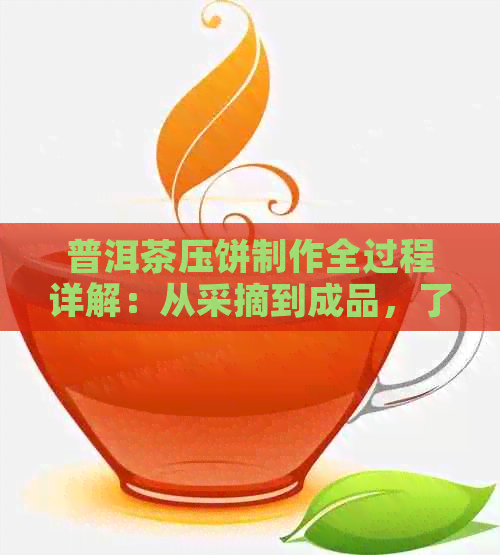 普洱茶压饼制作全过程详解：从采摘到成品，了解每一个步骤的奥秘