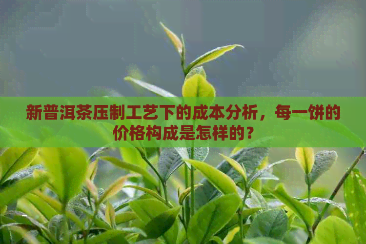 新普洱茶压制工艺下的成本分析，每一饼的价格构成是怎样的？