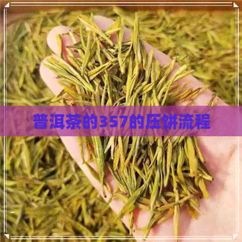 普洱茶的357的压饼流程