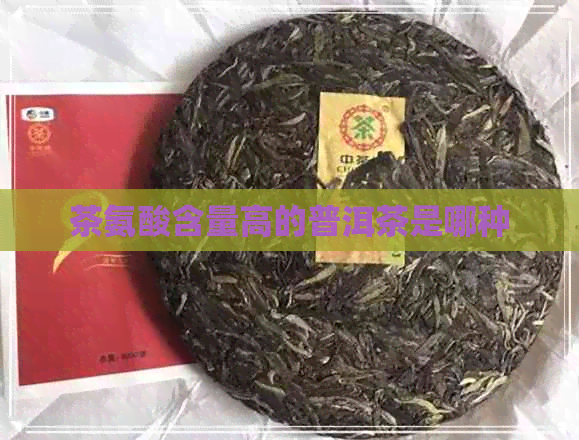 茶氨酸含量高的普洱茶是哪种