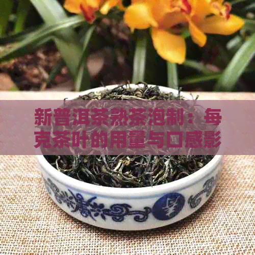 新普洱茶熟茶泡制：每克茶叶的用量与口感影响探究