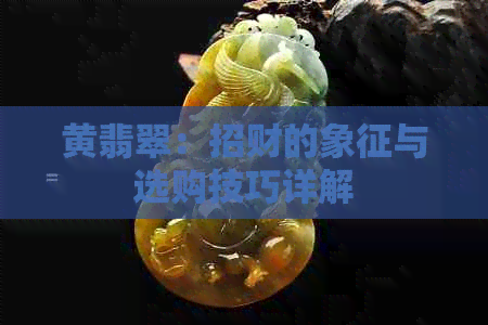 黄翡翠：招财的象征与选购技巧详解