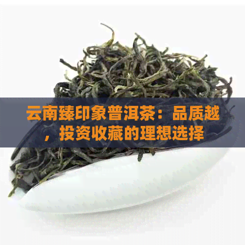 云南臻印象普洱茶：品质越，投资收藏的理想选择