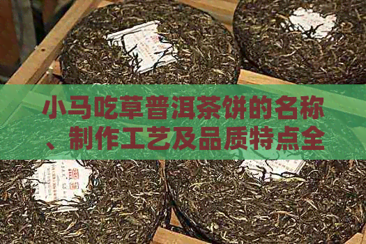 小马吃草普洱茶饼的名称、制作工艺及品质特点全面解析