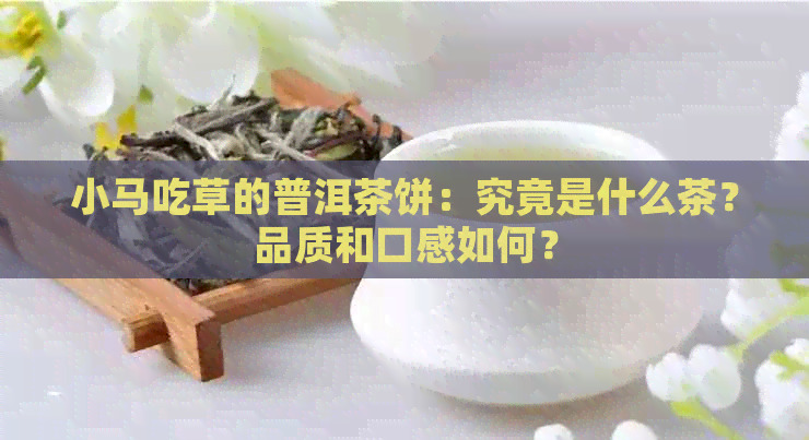 小马吃草的普洱茶饼：究竟是什么茶？品质和口感如何？