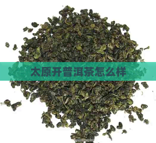 太原开普洱茶怎么样