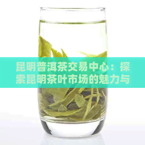 昆明普洱茶交易中心：探索昆明茶叶市场的魅力与潜力