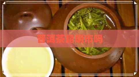 普洱茶昆明市吗