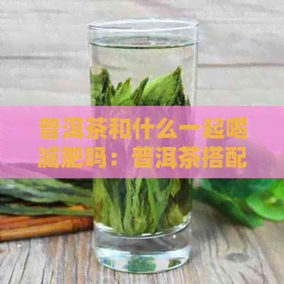 普洱茶和什么一起喝减肥吗：普洱茶搭配什么更有效减肥？