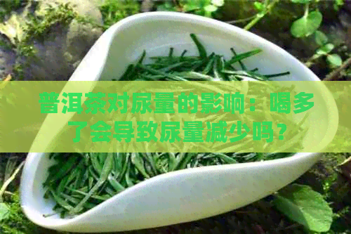 普洱茶对尿量的影响：喝多了会导致尿量减少吗？