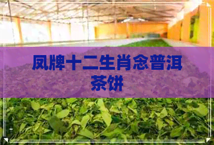 凤牌十二生肖念普洱茶饼