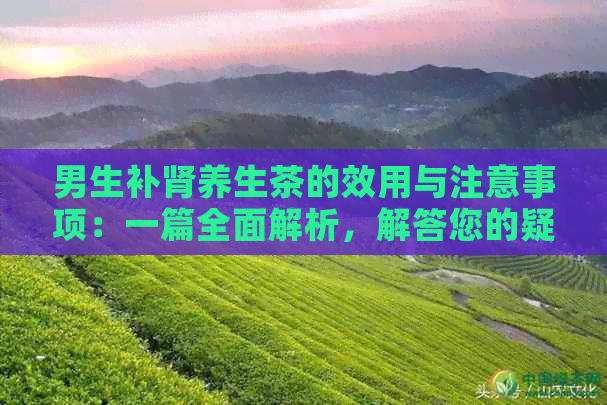 男生补肾养生茶的效用与注意事项：一篇全面解析，解答您的疑虑