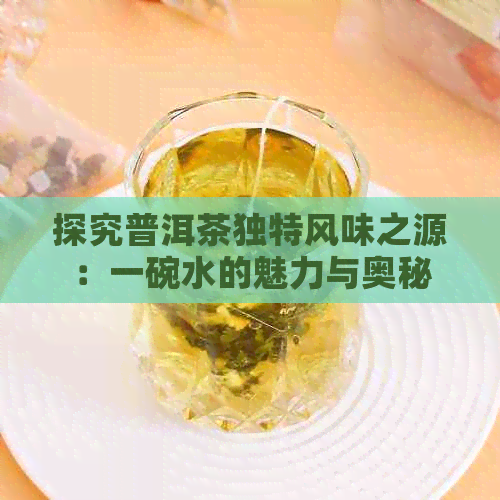 探究普洱茶独特风味之源：一碗水的魅力与奥秘