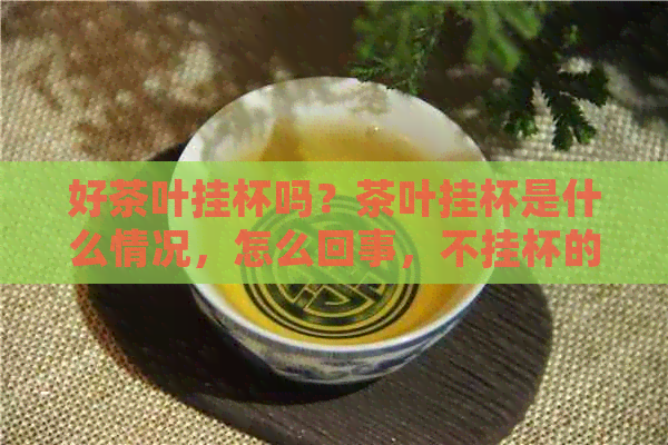 好茶叶挂杯吗？茶叶挂杯是什么情况，怎么回事，不挂杯的原因？