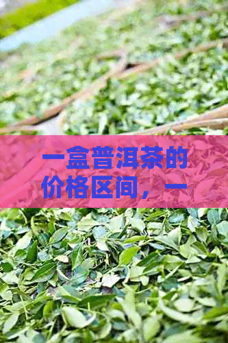 一盒普洱茶的价格区间，一箱普洱茶包含多少盒，普洱茶饼的价格及相关信息