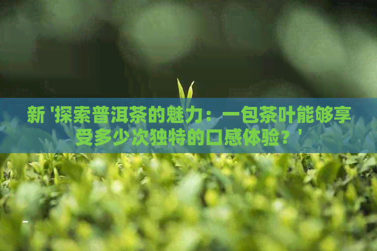 新 '探索普洱茶的魅力：一包茶叶能够享受多少次独特的口感体验？'