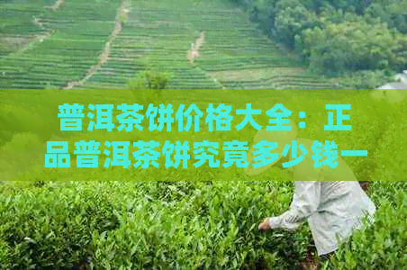 普洱茶饼价格大全：正品普洱茶饼究竟多少钱一饼？