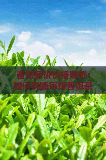 普洱茶饼价格解析：如何判断每饼普洱茶的价值及品质？