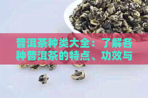 普洱茶种类大全：了解各种普洱茶的特点、功效与饮用方法