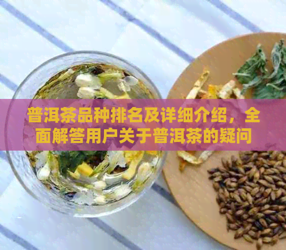 普洱茶品种排名及详细介绍，全面解答用户关于普洱茶的疑问