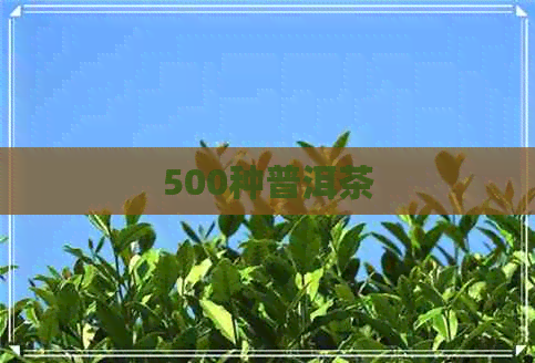 500种普洱茶