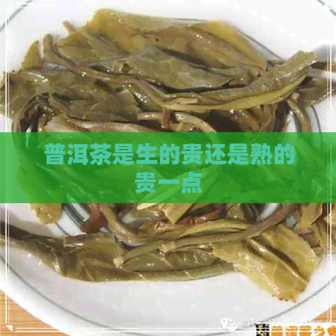 普洱茶是生的贵还是熟的贵一点