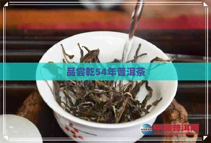 品尝乾54年普洱茶