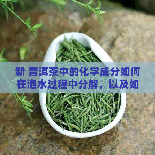 新 普洱茶中的化学成分如何在泡水过程中分解，以及如何控制这些分解时间？