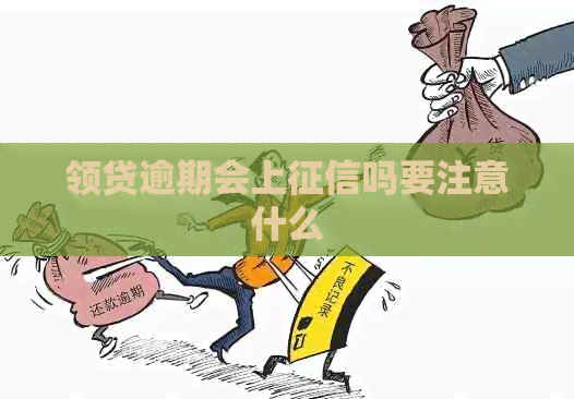 领贷逾期会上吗要注意什么