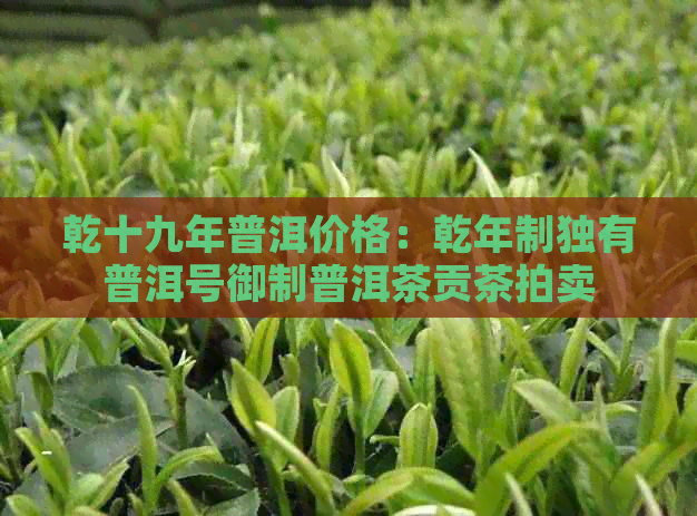 乾十九年普洱价格：乾年制独有普洱号御制普洱茶贡茶拍卖