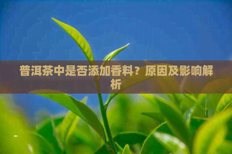 普洱茶中是否添加香料？原因及影响解析