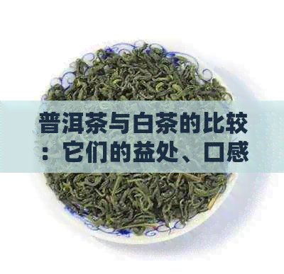 普洱茶与白茶的比较：它们的益处、口感与冲泡方法全面解析