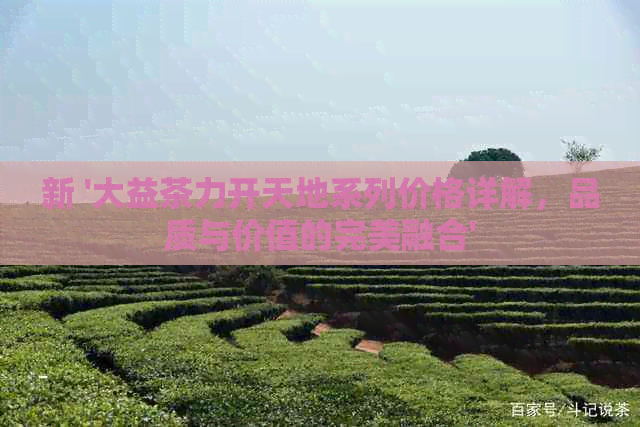 新 '大益茶力开天地系列价格详解，品质与价值的完美融合'