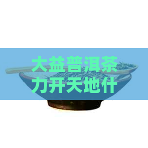 大益普洱茶力开天地什么价