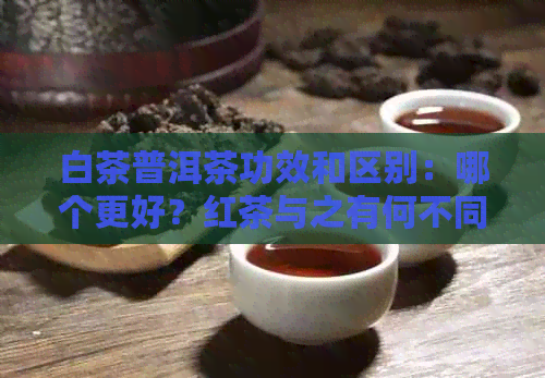 白茶普洱茶功效和区别：哪个更好？红茶与之有何不同？