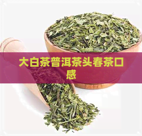 大白茶普洱茶头春茶口感