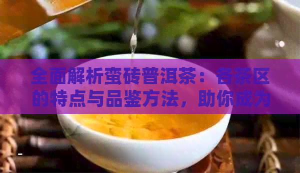 全面解析蛮砖普洱茶：各茶区的特点与品鉴方法，助你成为资深茶友