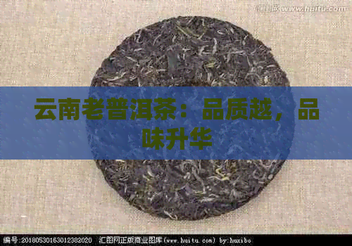 云南老普洱茶：品质越，品味升华