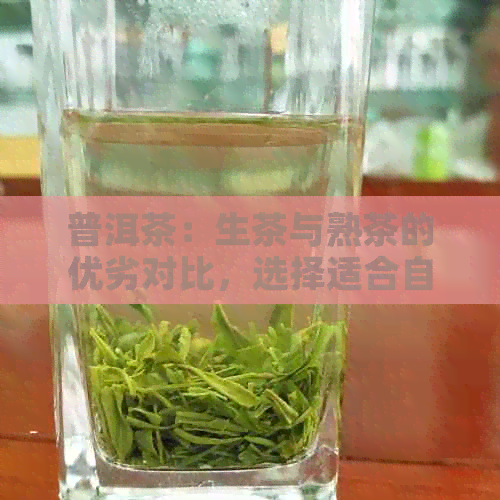 普洱茶：生茶与熟茶的优劣对比，选择适合自己口味的送礼佳品