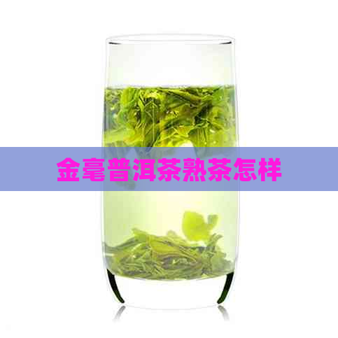 金毫普洱茶熟茶怎样