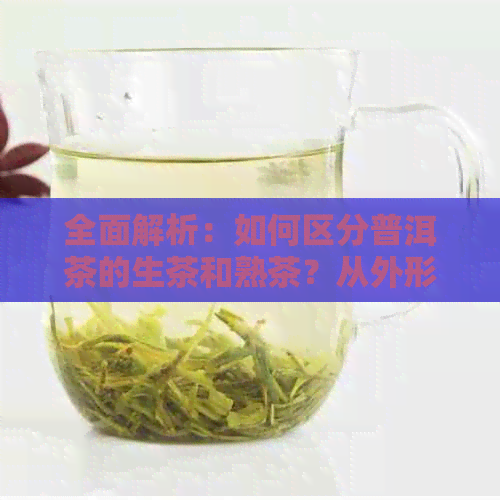 全面解析：如何区分普洱茶的生茶和熟茶？从外形、香气、口感和泡法入手