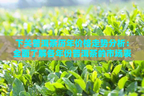 下关普洱茶历年价格走势分析：全面了解各年份普洱茶的市场表现