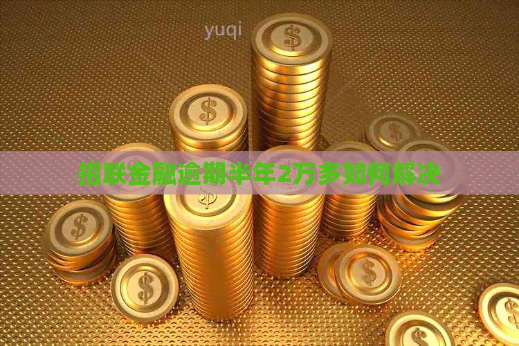 招联金融逾期半年2万多如何解决