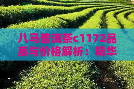 八马普洱茶c1172品质与价格解析：精华水多少钱一瓶？