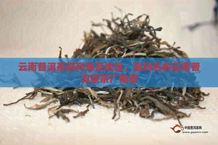 云南普洱茶茶列表及地址，最知名的云南普洱茶茶厂推荐