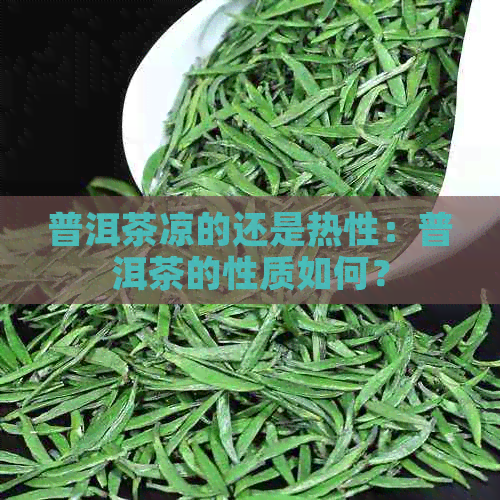 普洱茶凉的还是热性：普洱茶的性质如何？