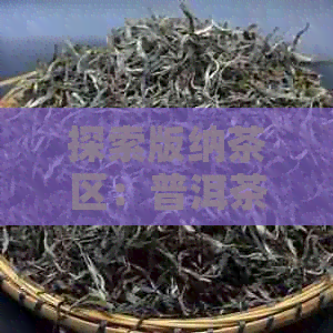 探索版纳茶区：普洱茶的独特香气及其影响因素