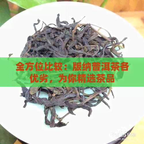 全方位比较：版纳普洱茶各优劣，为你精选茶品